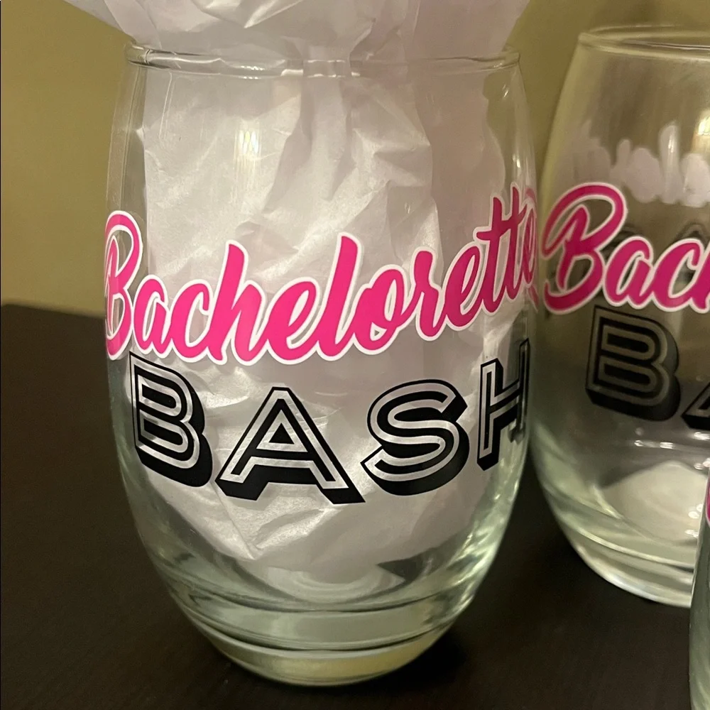Bachelorette Bash Party Glasses Set - Pink and Black - set of 6